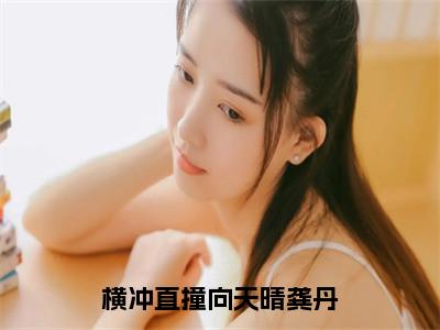 （横冲直撞向天晴龚丹）龚丹小说全文免费阅读无弹窗大结局_龚丹（横冲直撞向天晴龚丹）最新章节列表笔趣阁